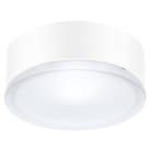 PERFORMANCE IN LIGHTING - LED-Wand- und Deckenleuchte 3000K 11W statisch sym. extrabreite Streuoptik