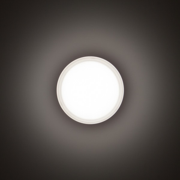 PERFORMANCE IN LIGHTING - LED-Wand- und Deckenleuchte 4000K 16W statisch sym. extrabreite Streuoptik
