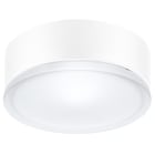 PERFORMANCE IN LIGHTING - Wand- und Deckenleuchte 1x100W A60 symmetrische extrabreite Streuoptik
