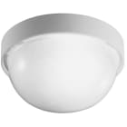 PERFORMANCE IN LIGHTING - Wand- und Deckenleuchte 1x60W A60 symmetrische extrabreite Streuoptik