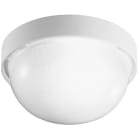 PERFORMANCE IN LIGHTING - Wand- und Deckenleuchte 1x100W A60 symmetrische extrabreite Streuoptik