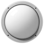 PERFORMANCE IN LIGHTING - LED-Wand- und Deckenleuchte 3000K 18W statisch sym. extrabreite Streuoptik