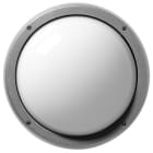 PERFORMANCE IN LIGHTING - Wand- und Deckenleuchte 1x100W A60 symmetrische extrabreite Streuoptik