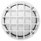 PERFORMANCE IN LIGHTING - Wand- und Deckenleuchte 1x100W A60 symmetrische extrabreite Streuoptik