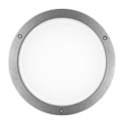 PERFORMANCE IN LIGHTING - LED-Wand- und Deckenleuchte 3000K 30W statisch sym. extrabreite Streuoptik