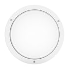 PERFORMANCE IN LIGHTING - LED-Wand- und Deckenleuchte 4000K 30W DALI symmetrische extrabreite Streuoptik