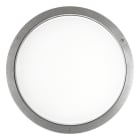 PERFORMANCE IN LIGHTING - LED-Wand- und Deckenleuchte 3000K 39W statisch NL sym. extrabreite Streuoptik