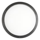 PERFORMANCE IN LIGHTING - LED-Wand- und Deckenleuchte 3000K 39W statisch NL sym. extrabreite Streuoptik