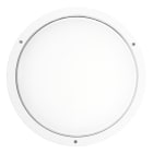 PERFORMANCE IN LIGHTING - LED-Wand- und Deckenleuchte 3000K 39W statisch NL sym. extrabreite Streuoptik