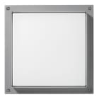 PERFORMANCE IN LIGHTING - LED-Wand- und Deckenleuchte 4000K 39W statisch sym. extrabreite Streuoptik