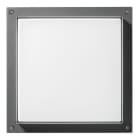 PERFORMANCE IN LIGHTING - LED-Wand- und Deckenleuchte 4000K 39W statisch sym. extrabreite Streuoptik