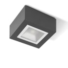 PERFORMANCE IN LIGHTING - LED-Anbauleuchte 3000K 10W statisch runde extrabreite Streuoptik