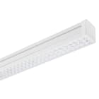 PERFORMANCE IN LIGHTING - LED-Lichteinsätze 4000K 42W DALI Notlicht 3h symmetrische extrabreite Streuoptik