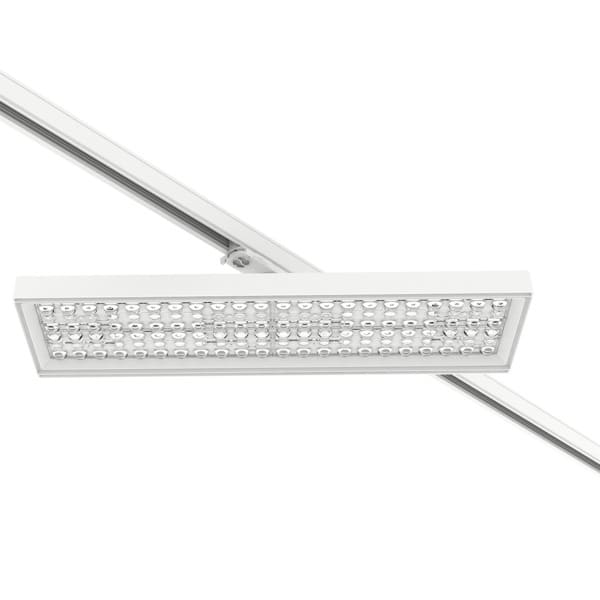 PERFORMANCE IN LIGHTING - LED-Stromschienenstrahler 4000K 68W DALI asymmetrische mittlere Optik
