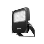 PERFORMANCE IN LIGHTING - LED-Scheinwerfer 4000K 50W statisch asymmetrische Optik