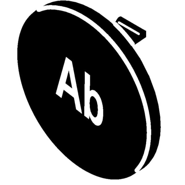 STAHL - Tastenschild 8602/3 schwarz AB