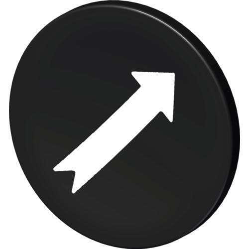 STAHL - Tastenschild 8602 schwarz  Pfeil 45