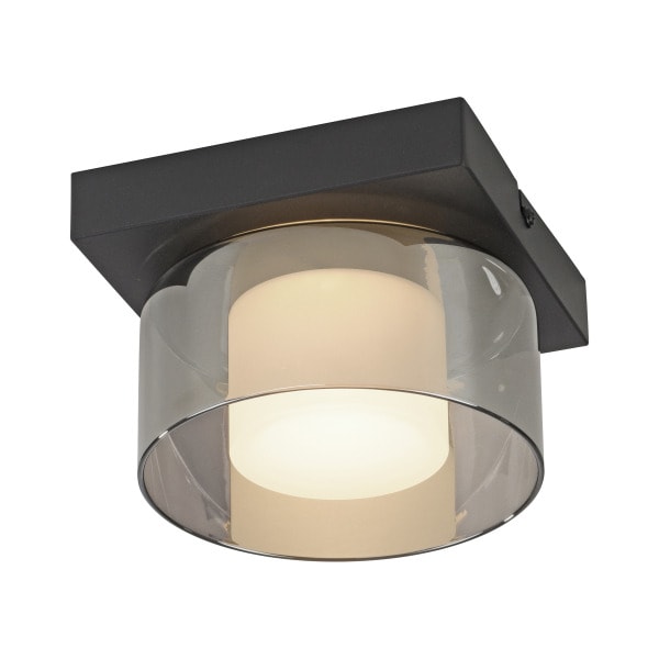 NEUHAUS - LED Deckenleuchte RIKA 1 flammig