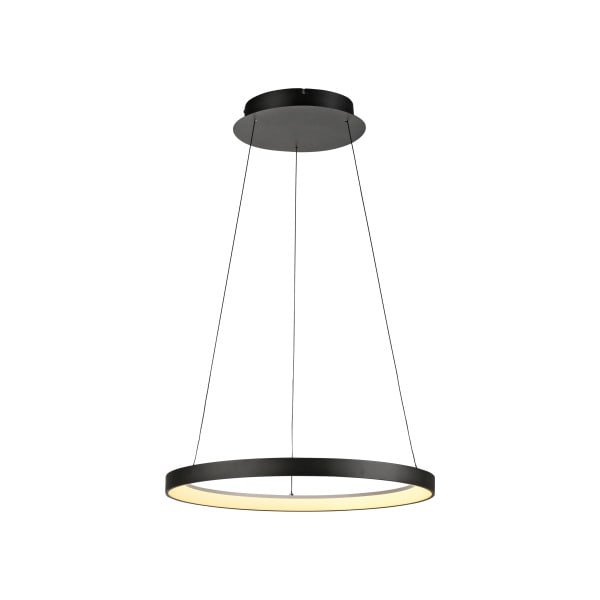 NEUHAUS - LED-Pendelleuchte HOOP, schwarz