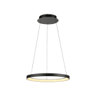 NEUHAUS - LED-Pendelleuchte HOOP, schwarz