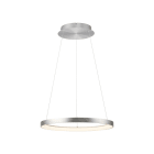 NEUHAUS - LED-Pendelleuchte HOOP,aluminium