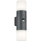 TRIO LEUCHTEN - TRIO Aussenwandleuchte 2xE27 IP44 BWM 222260242