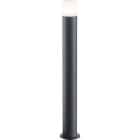TRIO LEUCHTEN - excl. LM, D.8,5xH.80cm,Aluguss Anthrazit,KS weiß,IP44