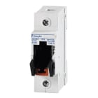 DOEPKE - Tytan Sicherungslasttrennschalter 1p, 2A bis 63A, 400V (AC/DC), Leergehäuse
