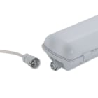 DOTLUX - Stecker für HIGHFORCE 3-polig weiblich Eingangsbuchse