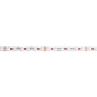 DOTLUX - RGBW CURVE LED-Streifen 96W 12mm IP20 5m-Rolle inkl. 50cm Anschlusskabel beidseitig