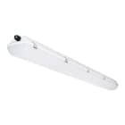 DOTLUX - LED-EX-Schutzleuchte MISTRALex EX Geschützt IP66 1272mm 60W 4000K IK10 Zone 2 & 22
