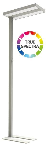 DOTLUX - LED-Stehleuchte ASSISTsunlike 60W CRI95 5500K dimmbar