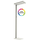 DOTLUX - LED-Stehleuchte ASSISTsunlike 60W CRI95 5500K dimmbar