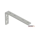 HERMI - Wandwinkel, 100x30x60 für Kabelrinnen mit max. Breite 50 mm säurebest. Edelstahl