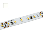 LINEAR TEC - LED-Flexmodul 10 Pro 90, 24V, IP20,1500lm/m, 15W/m,4200K, 5m