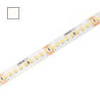 LINEAR TEC - LED-Flexmodul 10 Power85,24V IP20, 1300lm/m, 6W/m, 4000K, 5m