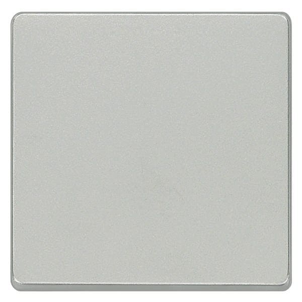 SIEMENS - DELTA i-system Wippe neutral, aluminiummetallic