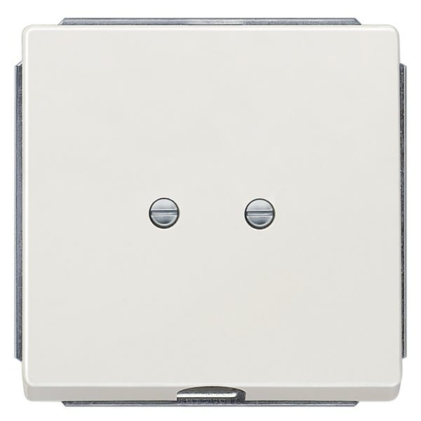 SIEMENS - DELTA style Auslassplatte, platinmetallic