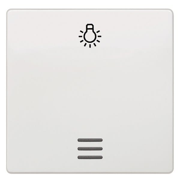 SIEMENS - DELTA i-system Wippe mit Fenster und Symbol Licht, titanweiß