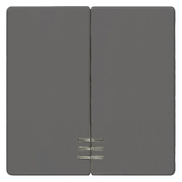 SIEMENS - DELTA i-system Wippe 2-fach mit Fenster für Serienschalter, carbonmetallic