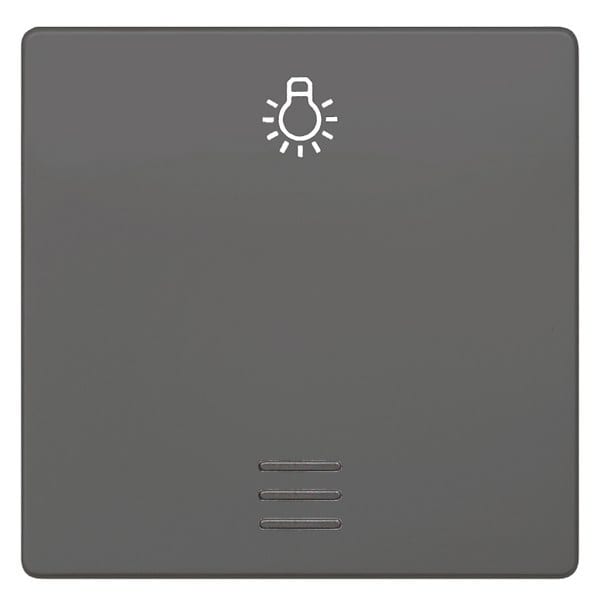 SIEMENS - DELTA i-system Wippe mit Fenster und Symbol Licht, carbonmetallic
