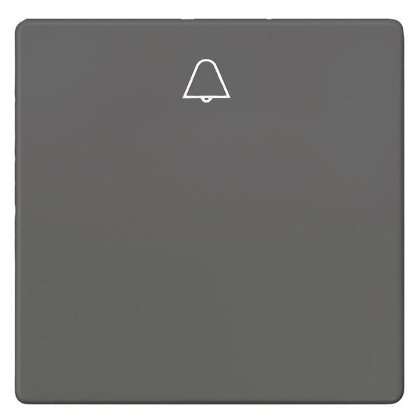 SIEMENS - DELTA i-system Wippe mit Symbol Glocke, carbonmetallic