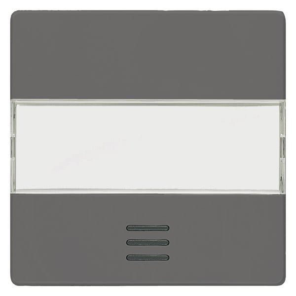 SIEMENS - DELTA i-system Wippe mit Fenster und Schriftfeld, carbonmetallic