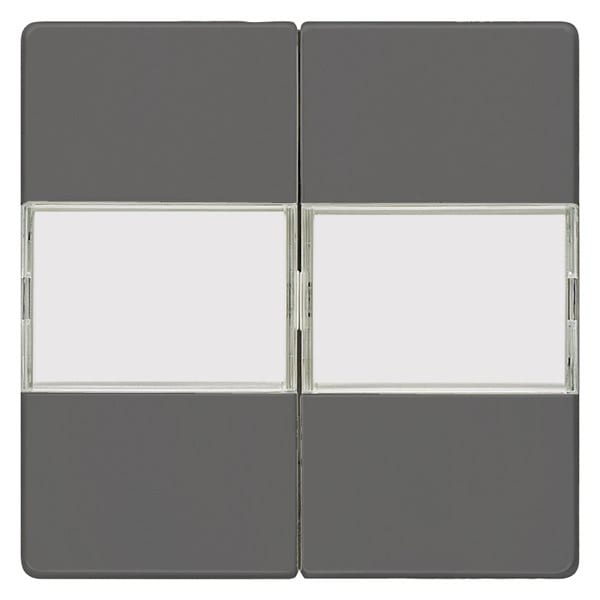 SIEMENS - DELTA i-system Wippe 2-fach mit Schriftfeld für Serienschalter, carbonmetallic