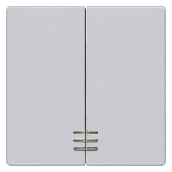 SIEMENS - DELTA i-system Wippe 2-fach mit Fenster für Serienschalter, aluminiummetallic