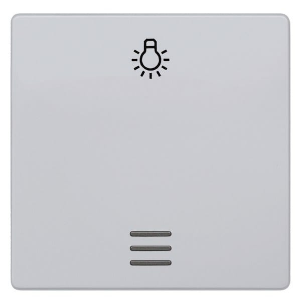 SIEMENS - DELTA i-system Wippe mit Fenster und Symbol Licht, aluminiummetallic