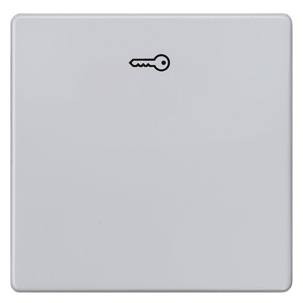 SIEMENS - DELTA i-system Wippe mit Symbol Türöffner, aluminiummetallic