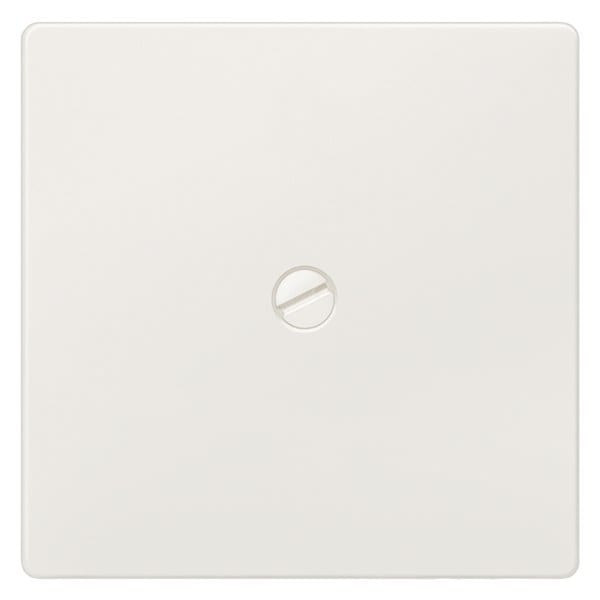 SIEMENS - DELTA i-system Wippe schraubbar für Universal-/Wechsel-/Ausschalter/Taster, t...