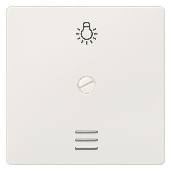SIEMENS - DELTA i-system Wippe schraubbar mit Fenster u. Symbol Licht, titanweiß
