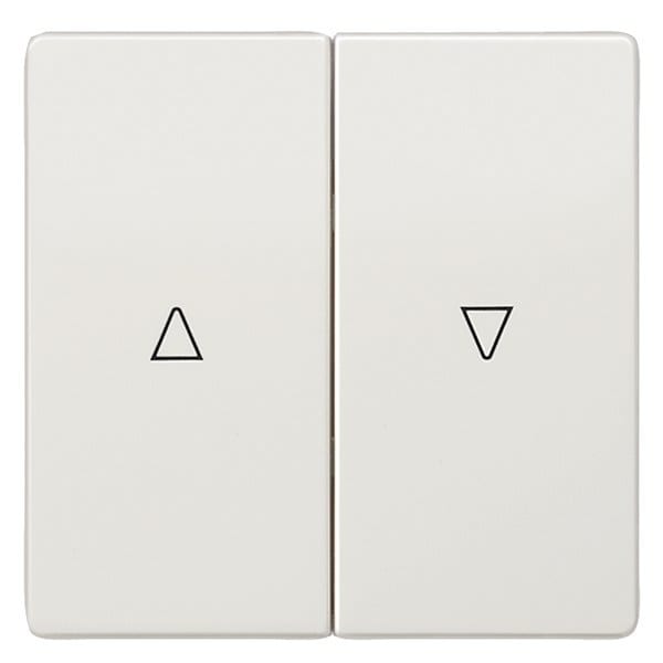SIEMENS - DELTA style Wippe 2-fach mit Jalousiesymbolen Auf/Ab, platinmetallic